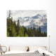 A Forest And The Rocky Mountains Wall Mural