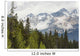 A Forest And The Rocky Mountains Wall Mural