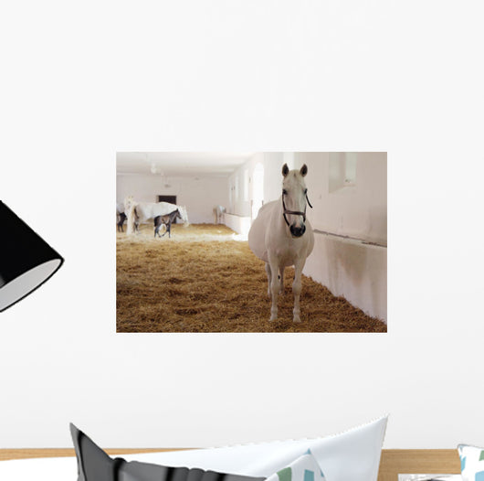 Gravid White Mare Stable