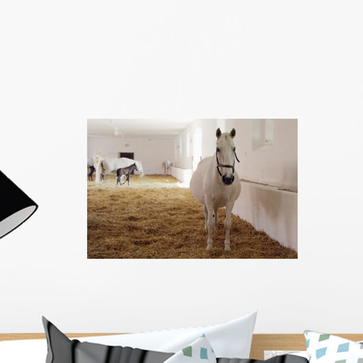 Gravid White Mare Stable