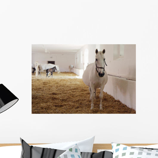Gravid White Mare Stable