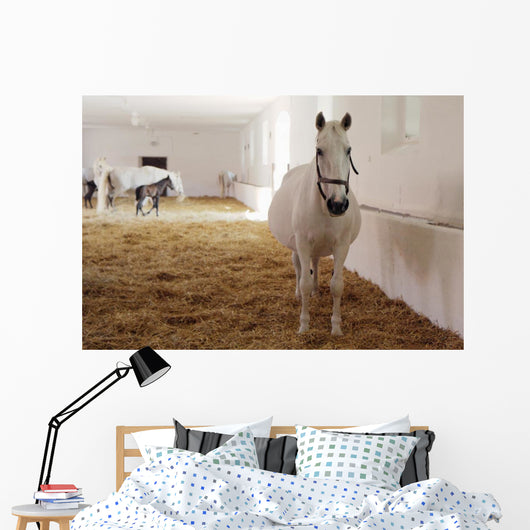 Gravid White Mare Stable
