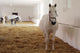 Gravid White Mare Stable