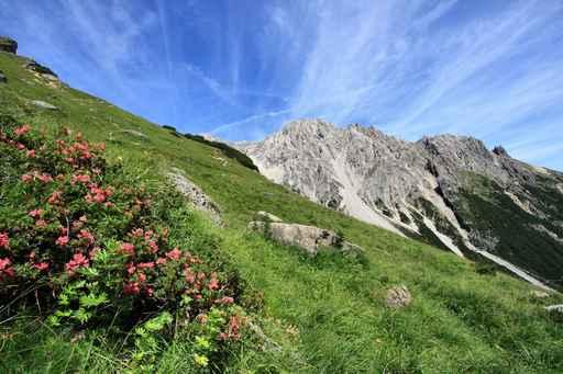 Alpine Meadow Tirol Wall Decal