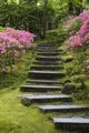 Rock Stairway Along A Moss Covered Hill With Flowering Bushes Wall Mural