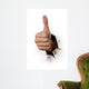 Hand Showing Thumbs up