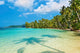 Coconut palms on the beach Wall Mural