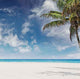 Beautiful Beach Miami Florida Wall Decal
