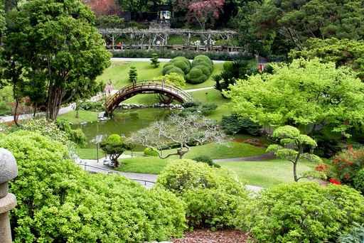 Japanese Garden Wall Decal Design 2