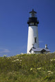 White Lighthouse With A Blue Sky And Wildflowers Wall Mural