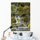 Small Waterfalls Along Moss Covered Rocks Wall Mural
