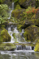 Small Waterfalls Along Moss Covered Rocks Wall Mural