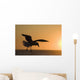 Silhouette Of A Seagull In Flight At Sunset Wall Mural
