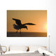 Silhouette Of A Seagull In Flight At Sunset Wall Mural