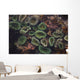 Sea Anemones Underwater Wall Mural