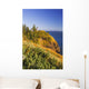 Cape Disappointment Lighthouse Wall Mural