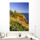 Cape Disappointment Lighthouse Wall Mural