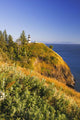 Cape Disappointment Lighthouse Wall Mural
