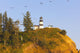 Birds In Flight Over Cape Disappointment Lighthouse Wall Mural