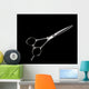 Special Scissors for Work