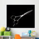 Special Scissors for Work