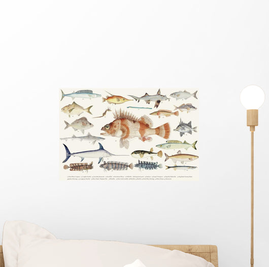 Illustration Maritime Drawing Fish Wall Decal