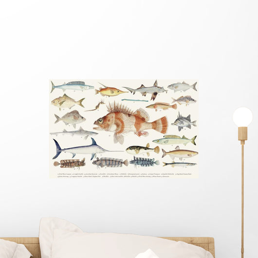 Illustration Maritime Drawing Fish Wall Decal