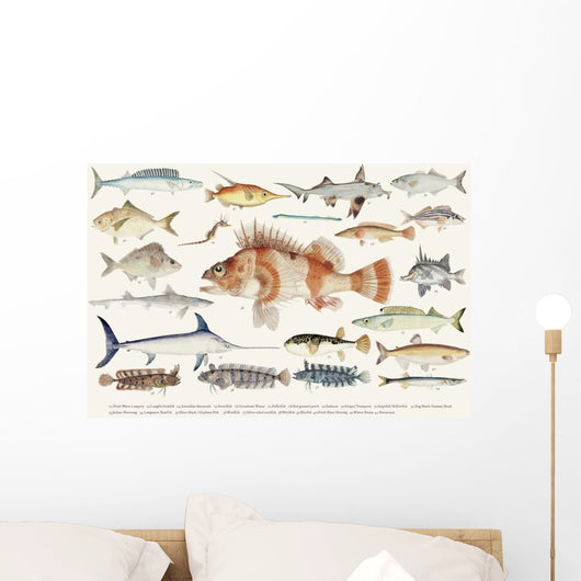 Illustration Maritime Drawing Fish Wall Decal