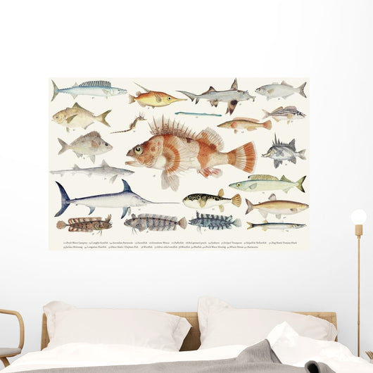 Illustration Maritime Drawing Fish Wall Decal