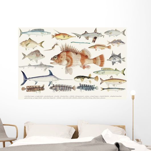 Illustration Maritime Drawing Fish Wall Decal