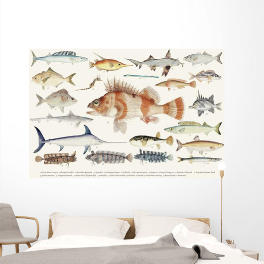 Illustration Maritime Drawing Fish Wall Decal
