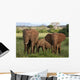 African Elephants Wall Mural