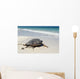 Green Sea Turtle Wall Mural