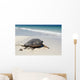 Green Sea Turtle Wall Mural