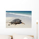 Green Sea Turtle Wall Mural