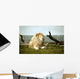 White Lion
