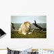 White Lion
