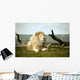 White Lion