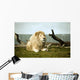 White Lion