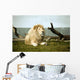 White Lion