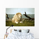 White Lion