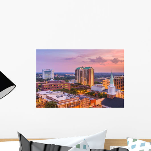 Tallahassee Florida USA Skyline Evening Wall Decal