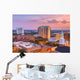 Tallahassee Florida USA Skyline Evening Wall Decal