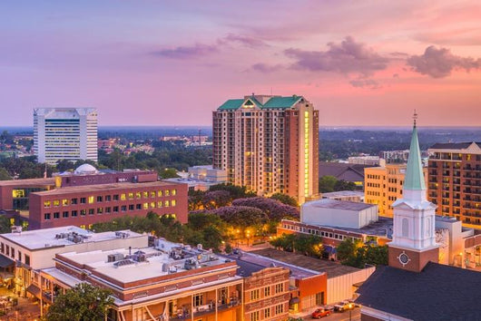Tallahassee Florida USA Skyline Evening Wall Decal