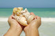 Hawaii, Woman's Hands Holding Seashells, Ocean In Background Wall Mural