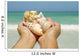 Hawaii, Woman's Hands Holding Seashells, Ocean In Background Wall Mural