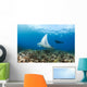 Reef Manta Ray Cruises Over Shallows Off Ukumehame Wall Mural