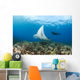 Reef Manta Ray Cruises Over Shallows Off Ukumehame Wall Mural