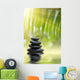 Grean Bamboo Leaves Over Zen Stones Wall Mural