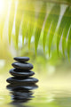 Grean Bamboo Leaves Over Zen Stones Wall Mural